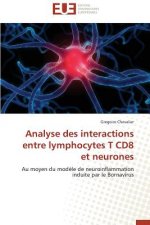 Analyse Des Interactions Entre Lymphocytes T Cd8 Et Neurones