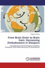 From Brain Drain to Brain Gain: Harnessing Zimbabweans in Diaspora