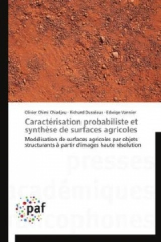 Caractérisation probabiliste et synthèse de surfaces agricoles