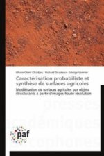 Caractérisation probabiliste et synthèse de surfaces agricoles