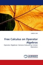 Free Calculus on Operator Algebras