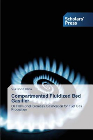 Compartmented Fluidized Bed Gasifier
