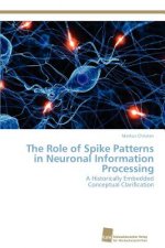 Role of Spike Patterns in Neuronal Information Processing