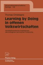 Learning by Doing in Offenen Volkswirtschaften