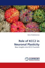 Role of KCC2 in Neuronal Plasticity