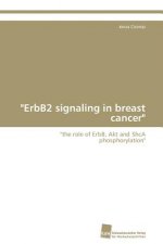 ErbB2 signaling in breast cancer