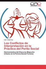 Conflictos de Interpretaci N En La PR Ctica del Perito Social
