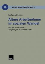 ltere Arbeitnehmer Im Sozialen Wandel