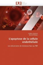 L'apoptose de la cellule endothéliale