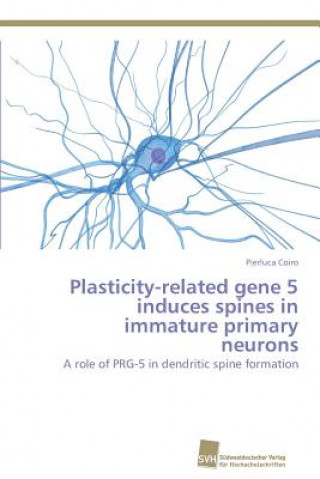 Plasticity-related gene 5 induces spines in immature primary neurons