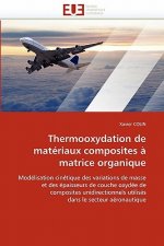 Thermooxydation de Mat riaux Composites   Matrice Organique