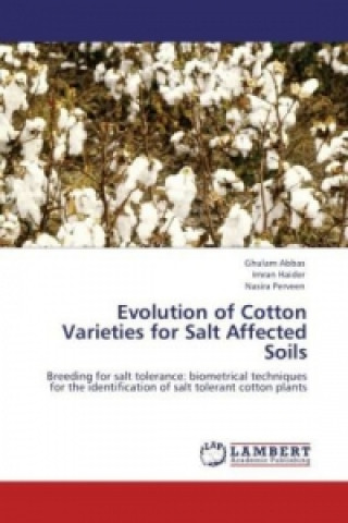 Evolution of Cotton Varieties for Salt Affected Soils