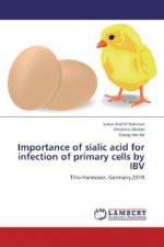 Importance of sialic acid for infection of primary cells by IBV