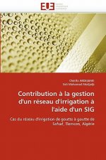 Contribution a la gestion d'un reseau d'irrigation a l'aide d'un sig