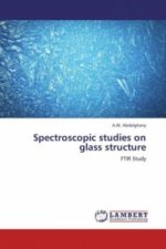 Spectroscopic studies on glass structure