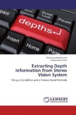 Extracting Depth Information from Stereo Vision System
