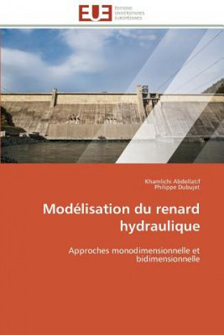 Modelisation du renard hydraulique