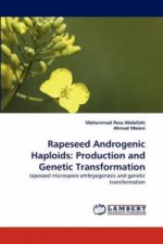 Rapeseed Androgenic Haploids: Production and Genetic Transformation