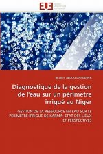 Diagnostique de la Gestion de l''eau Sur Un P rimetre Irrigu  Au Niger