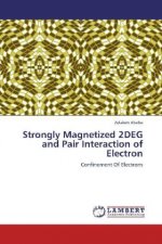 Strongly Magnetized 2DEG and Pair Interaction of Electron