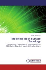 Modeling Rock Surface Topology