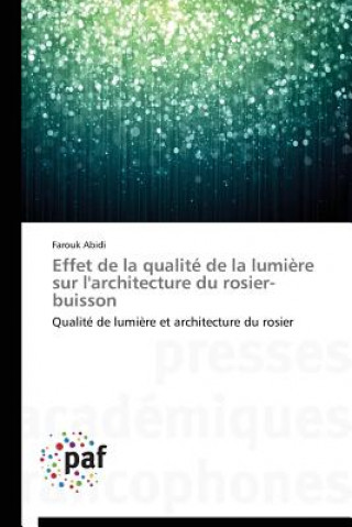 Effet de la Qualite de la Lumiere Sur l'Architecture Du Rosier-Buisson