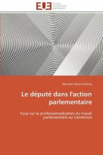 Le D put  Dans l'Action Parlementaire