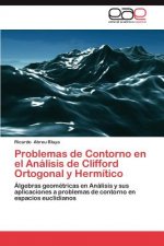 Problemas de Contorno En El Analisis de Clifford Ortogonal y Hermitico