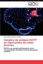 Canales de Potasio Katp En Hipocampo de Ratas Jovenes