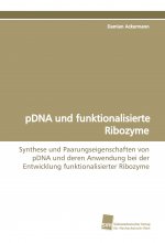 pDNA und funktionalisierte Ribozyme