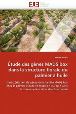 tude Des G nes Mads Box Dans La Structure Florale Du Palmier   Huile