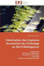 Valorisation Des Captures Accessoires Du Chalutage Au Nord Madagascar