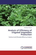 Analysis of Efficiency of Irrigated Vegetables Production