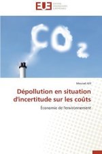 D pollution En Situation d'Incertitude Sur Les Co ts