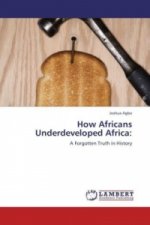 How Africans Underdeveloped Africa: