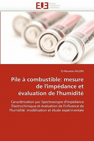 Pile   Combustible