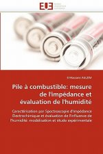 Pile   Combustible