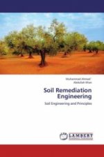 Soil Remediation Engineering