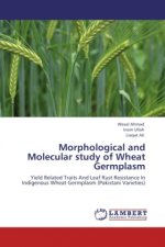 Morphological and Molecular study of Wheat Germplasm