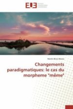 Changements paradigmatiques: le cas du morpheme 