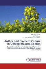 Anther and Filament Culture in Oilseed Brassica Species