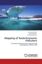 Mapping of Socio-Economic Indicators
