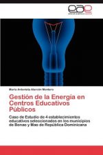 Gestion de la Energia en Centros Educativos Publicos