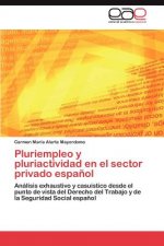 Pluriempleo y pluriactividad en el sector privado espanol
