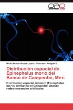 Distribucion Espacial de Epinephelus Morio del Banco de Campeche, Mex.