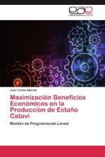 Maximización Beneficios Económicos en la Producción de Estaño Catavi