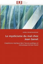Mysticisme Du Mal Chez Jean Genet
