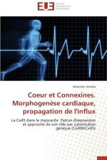 Coeur Et Connexines. Morphogen se Cardiaque, Propagation de l'Influx