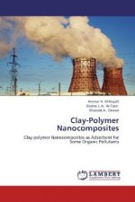 Clay-Polymer Nanocomposites