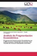 Analisis de Fragmentacion Ecosistemica